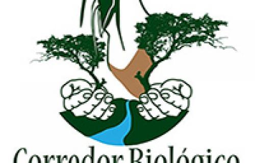 Bellbird Biological Corridor