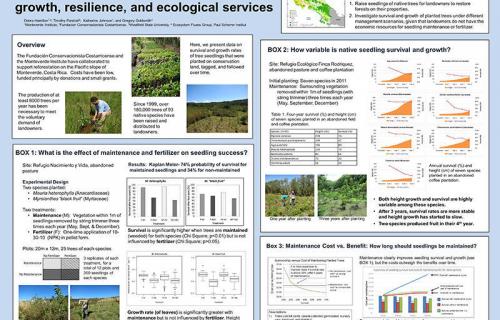 Tropical Forest Reforestation: Survivorship, growth, resilience, and ecological services.
